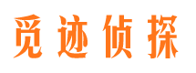 仙居市场调查